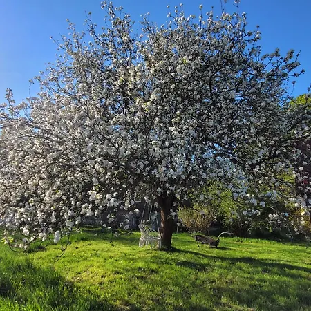 Lantgård Na Koncu Drozki