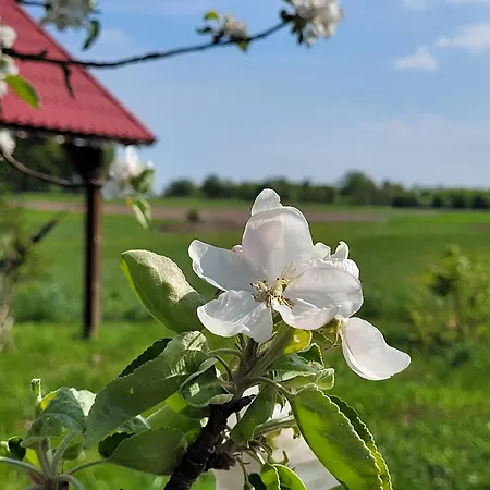 Lantgård Na Koncu Drozki *