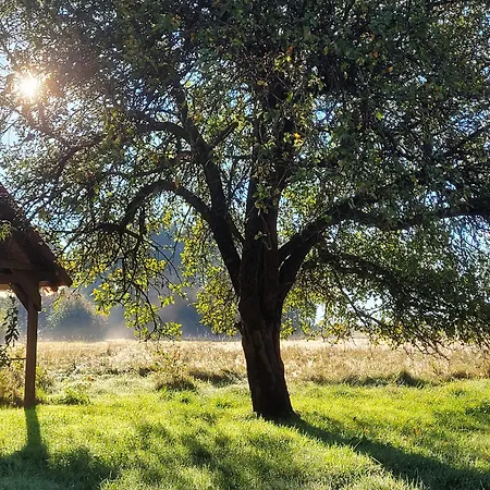 Gospodarstwo agroturystyczne Na Końcu Dróżki Radoniow