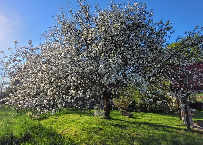 Lantgård Na Koncu Drozki
