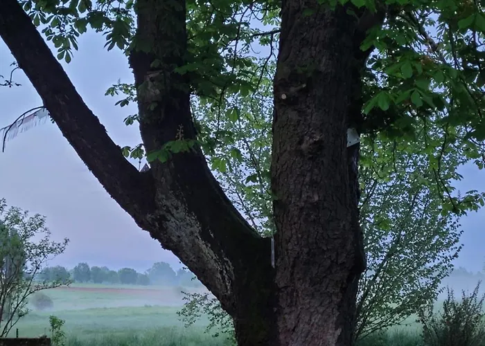 Na Koncu Drozki Lantgård Radoniow