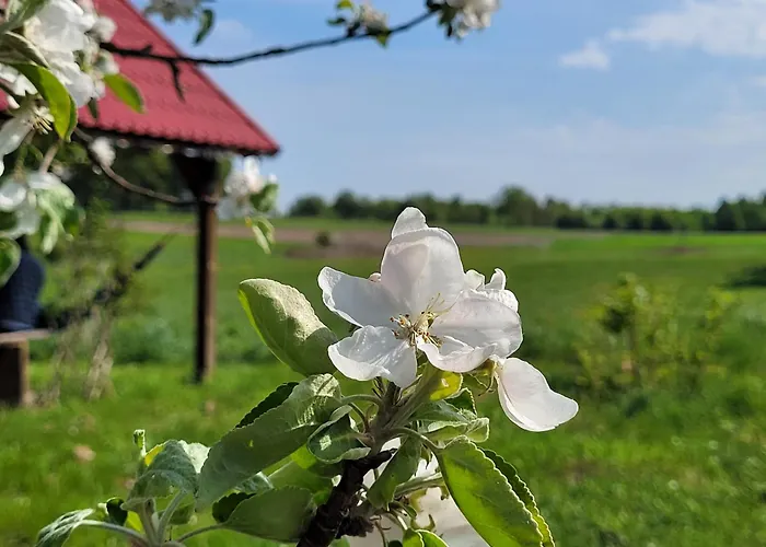 Lantgård Na Koncu Drozki *