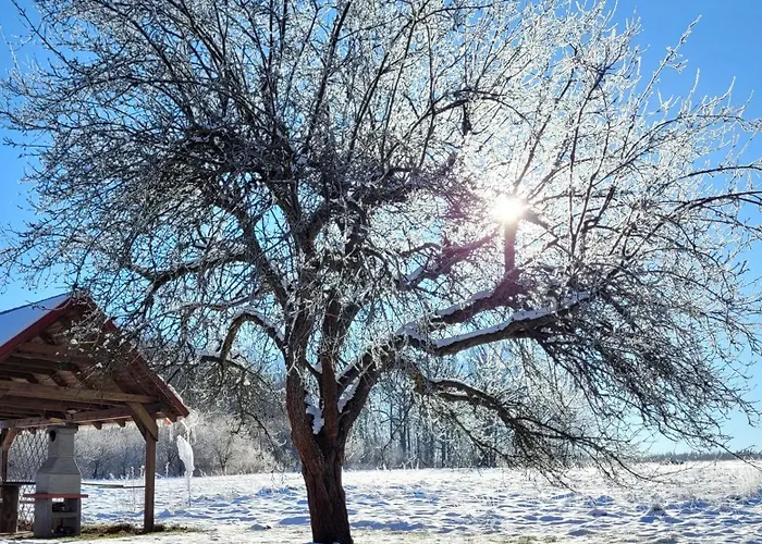 Na Koncu Drozki בית חווה Radoniów