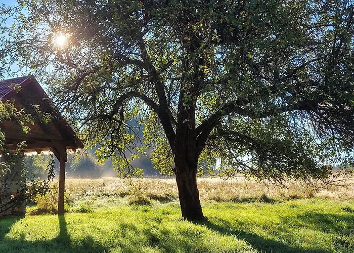 Lantgård Na Koncu Drozki Radoniow